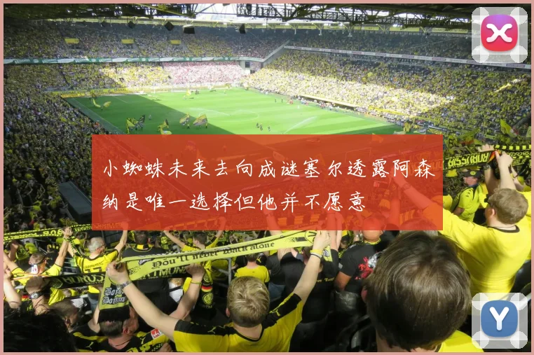 小蜘蛛未来去向成谜塞尔透露阿森纳是唯一选择但他并不愿意