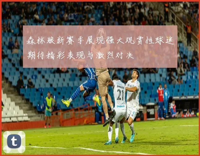 森林狼新赛季展现强大观赏性球迷期待精彩表现与激烈对决